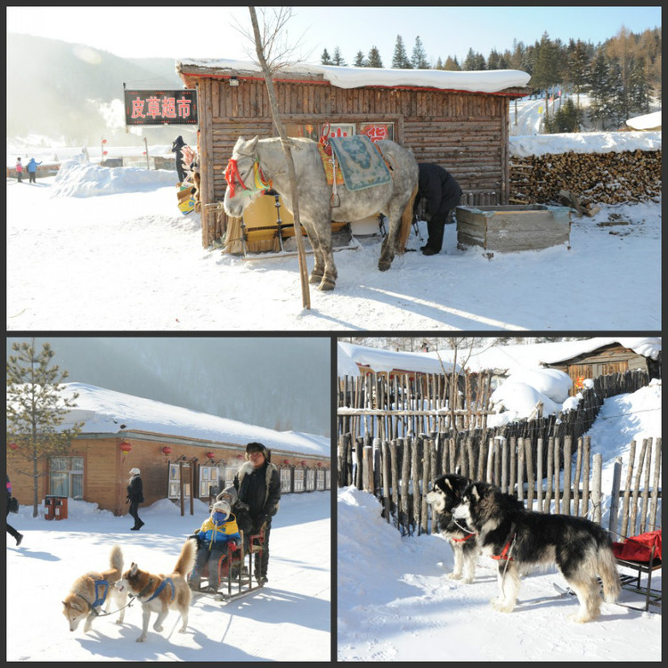 2012春节，中国雪乡    （超多图片） - 小鱼滋味 - 小鱼滋味