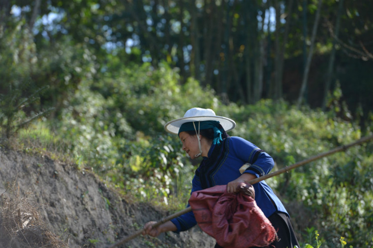 【云南春梦】 元阳 · 箐口民俗村 - 小鱼滋味 - 小鱼滋味