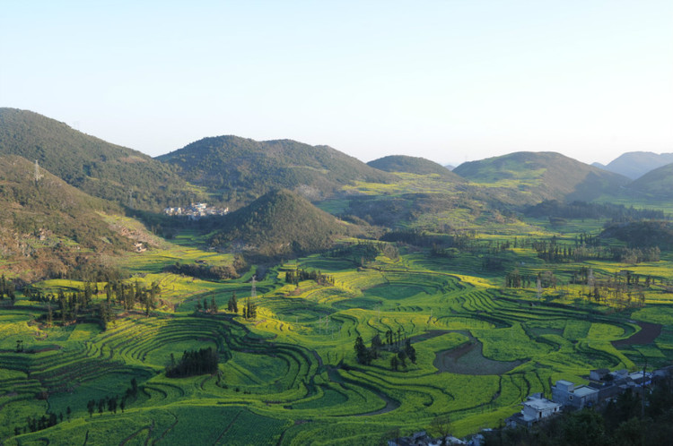 【云南春梦】 东川红土地 — 罗平螺狮田 - 小鱼滋味 - 小鱼滋味