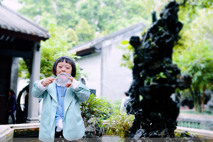 【广东 · 顺德】  清晖园  顺德美食 - 小鱼滋味 - 小鱼滋味