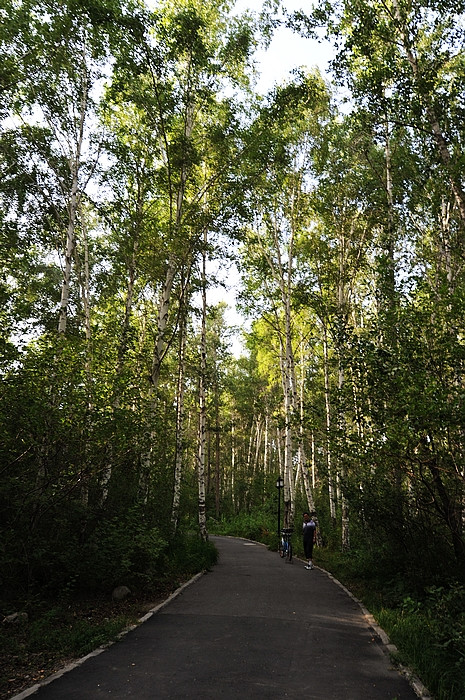 在那遥远的地方(之三 火烧山－北屯－阿勒泰桦林公园） - 小鱼滋味 - 小鱼滋味