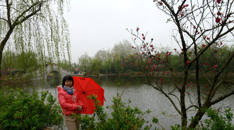 【京口瓜洲春水间】 扬州 · 雨中茱萸湾 - 小鱼滋味 - 小鱼滋味