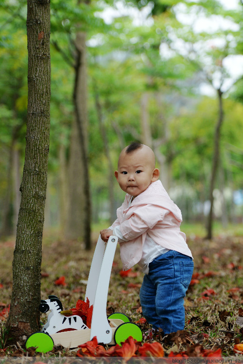 2015年03月27日 - 小鱼滋味 - 小鱼滋味