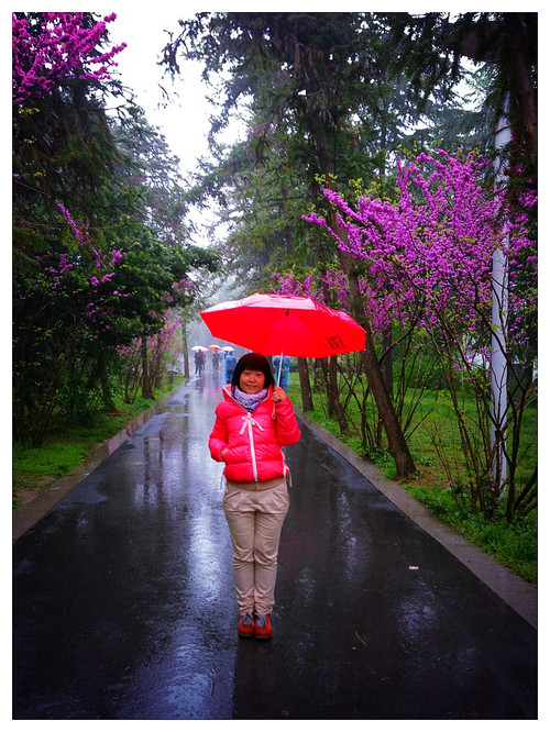 【京口瓜洲春水间】 扬州 · 雨中茱萸湾 - 小鱼滋味 - 小鱼滋味