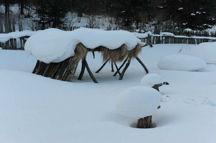 2012春节，中国雪乡    （超多图片） - 小鱼滋味 - 小鱼滋味