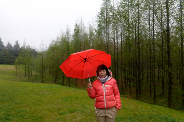 【京口瓜洲春水间】 扬州 · 雨中茱萸湾 - 小鱼滋味 - 小鱼滋味