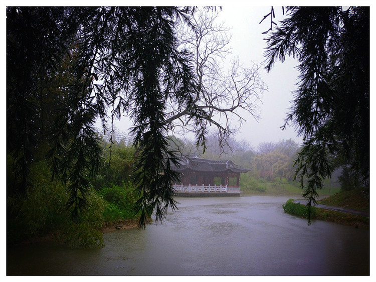 【京口瓜洲春水间】 扬州 · 雨中茱萸湾 - 小鱼滋味 - 小鱼滋味