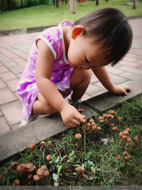 雨后，草地上的蘑菇和小女孩 - 小鱼滋味 - 小鱼滋味