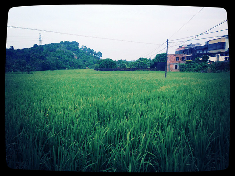 广东 · 惠州新圩山顶村 - 小鱼滋味 - 小鱼滋味