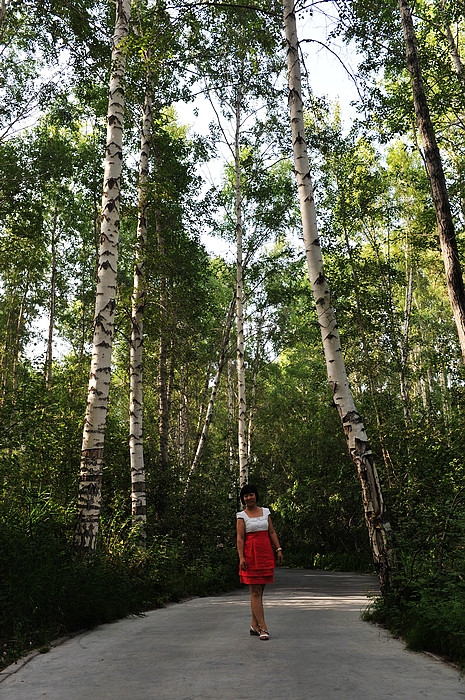 在那遥远的地方(之三 火烧山－北屯－阿勒泰桦林公园） - 小鱼滋味 - 小鱼滋味