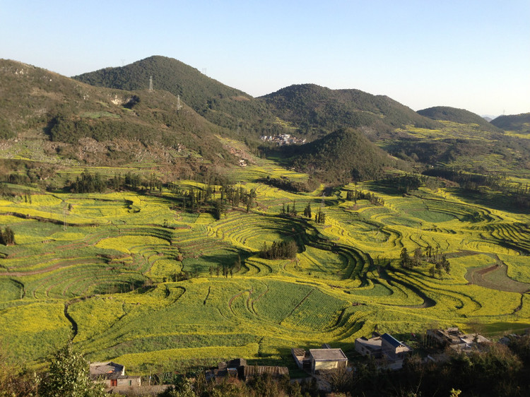 【云南春梦】 东川红土地 — 罗平螺狮田 - 小鱼滋味 - 小鱼滋味