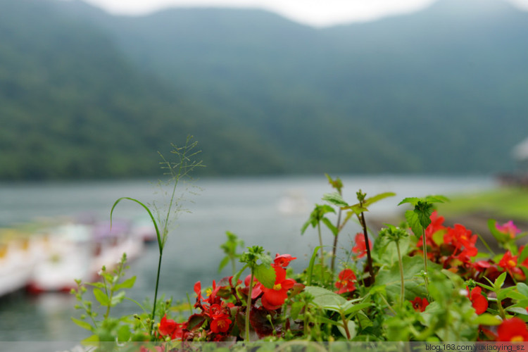 【带着宝宝去旅行】 台湾 花莲 · 花东纵谷 纵情游览的一天 - 小鱼滋味 - 小鱼滋味