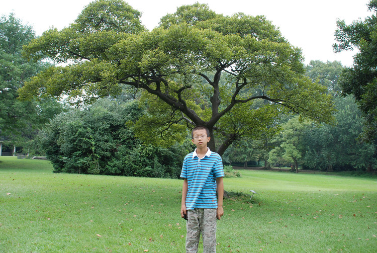 【小宽在长大】十 小学的最后一年 - 小鱼滋味 - 小鱼滋味