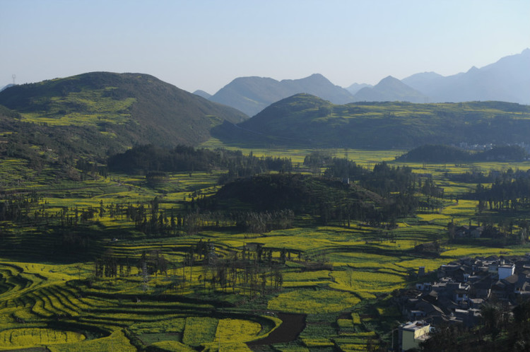 【云南春梦】 东川红土地 — 罗平螺狮田 - 小鱼滋味 - 小鱼滋味