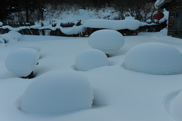 2012春节，中国雪乡    （超多图片） - 小鱼滋味 - 小鱼滋味