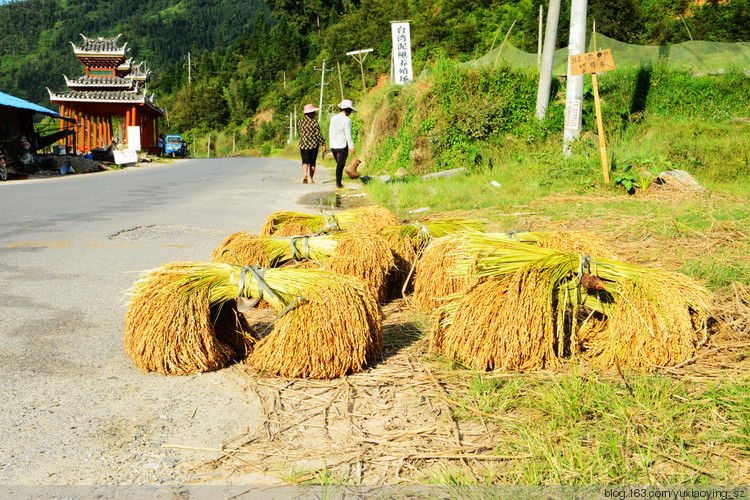 【三入贵州】 黔东南 · 加榜梯田，重温梯田梦 - 小鱼滋味 - 小鱼滋味