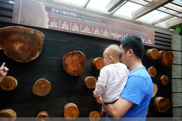 【带着宝宝去旅行】 台湾 花莲 · 花东纵谷 纵情游览的一天 - 小鱼滋味 - 小鱼滋味