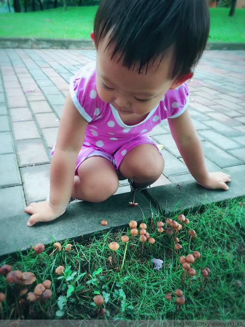 雨后，草地上的蘑菇和小女孩 - 小鱼滋味 - 小鱼滋味